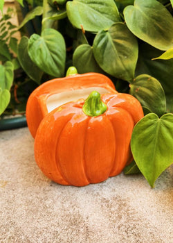 A Pumpkin for Your Thoughts Ceramic Candle Double Wick