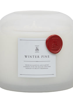 Winter Pine