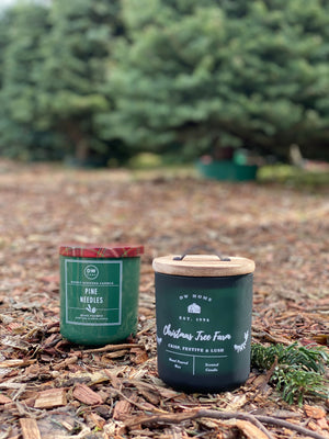 Pine Needles Candle Single Wick