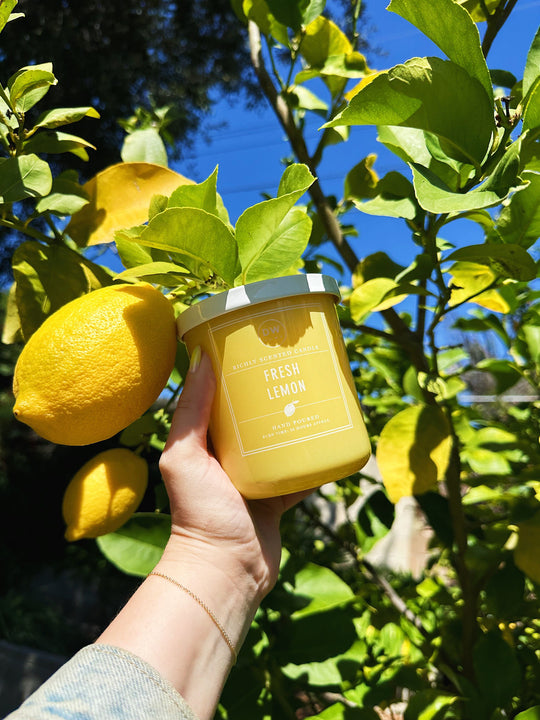 Fresh Lemon – DW Home Candles