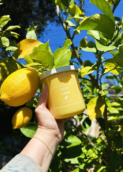 Fresh Lemon Candle Single Wick