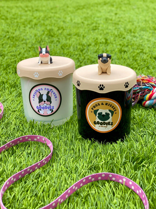 Friends Furever – DW Home Candles