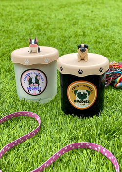 Friends Furever Candle Single Wick