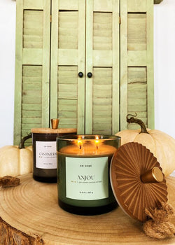 Anjou Candle Double Wick