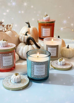 Forest Sage & Pumpkin Candle Single Wick