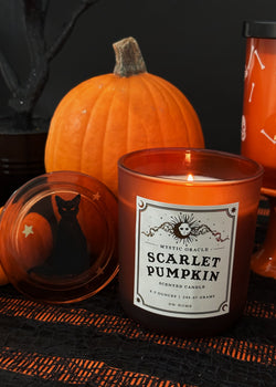 Scarlet Pumpkin Candle Single Wick