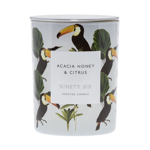 Acacia Honey and Citrus, large double wick candle. White candle with zebra and palm tree graphic.