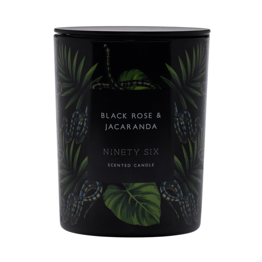 Black Rose & Jacaranda