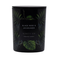 Black Rose & Jacaranda