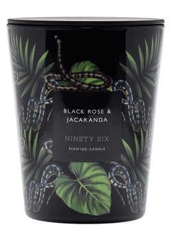 Black Rose & Jacaranda