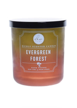 Evergreen Forest