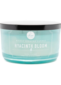 Hyacinth Bloom
