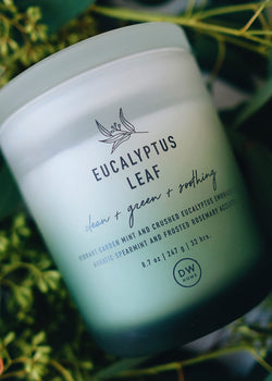 Eucalyptus Leaf