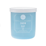 Snow Day