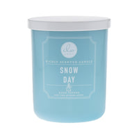 Snow Day