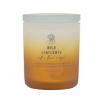 Wild Sunflower