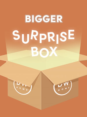 Surprise Box