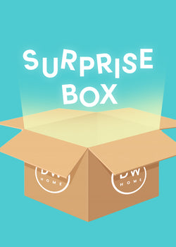 Surprise Box (Save $!)